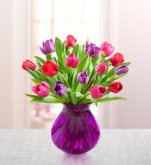 Tulips for Sweetheart