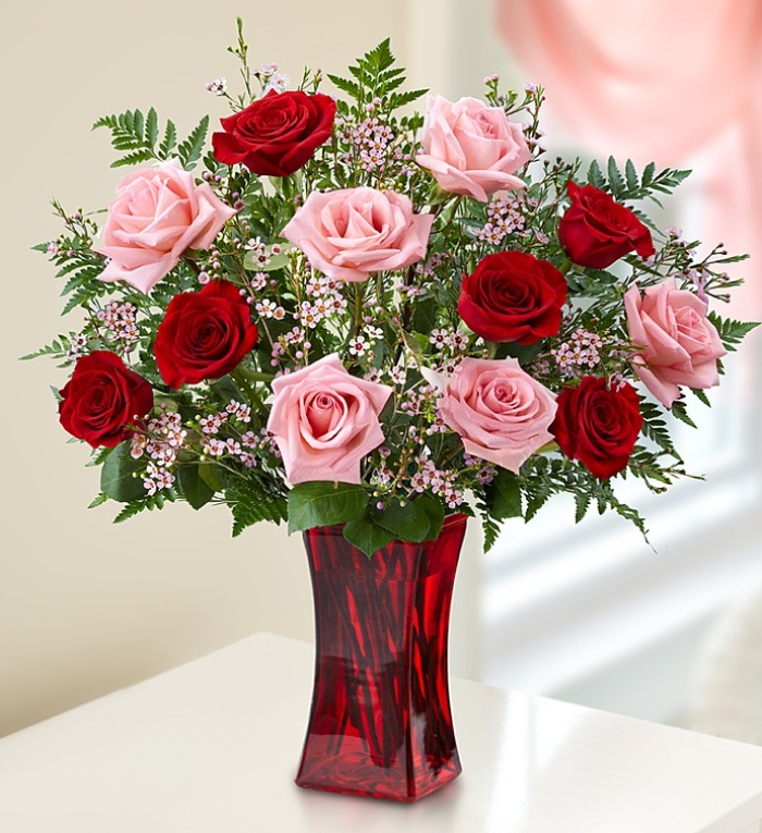 Shades of Pink and Red Premium Long Stem * Roses