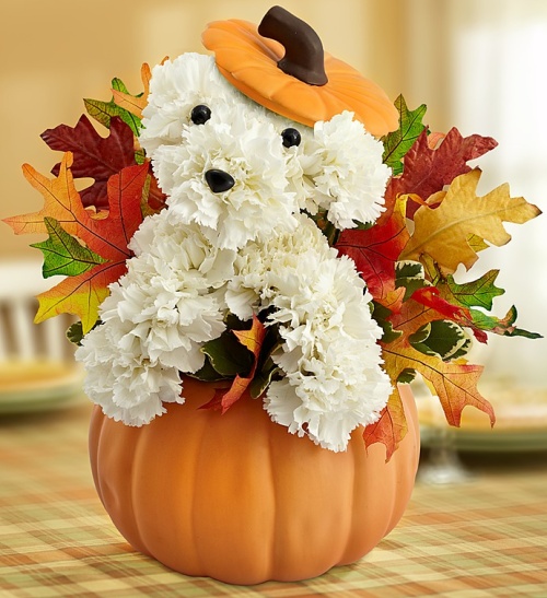 Adorable Puppy for Fall