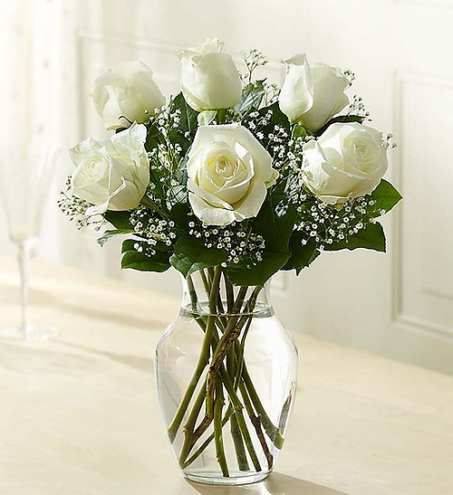 Love\'s Embrace Roses ÃLL White*