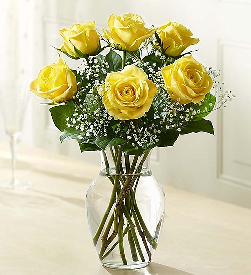 Love\'s Embrace Roses â?? Yellow