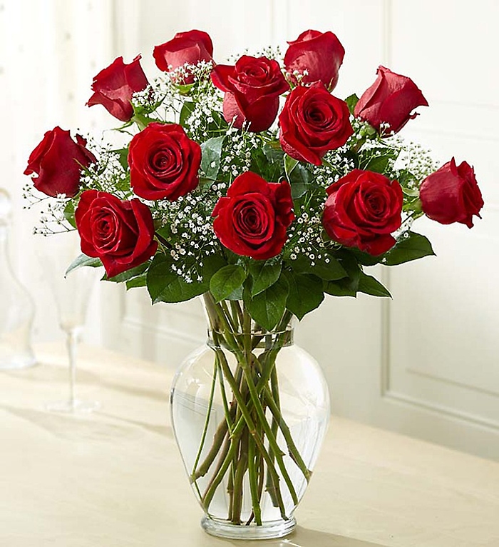 Rose Eleganc Premium Long Stem Red Roses
