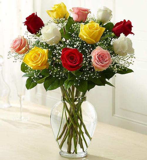Rose Elegance Premium Long Stem Assorted Roses*